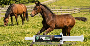 Fixine BioBoost 80cc