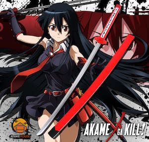 Akame Ga Kill: Metal Sword - Katana Akame GA kill Murasame Teigu Akame GA kill sword 544