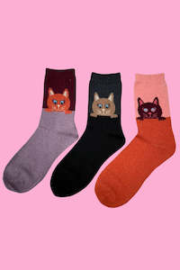 Cosy Blend Kitten Socks - Includes Wool - Multi Pack Of 3