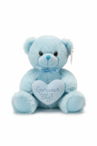 Products: Gorgeous Boy Bear (25cm)