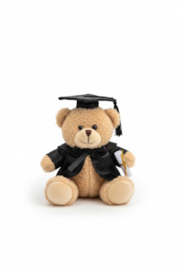 Products: Graduation Teddy Bear (25cm)
