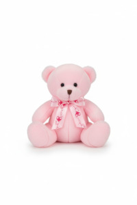 Pink Teddy Bear (20cm)