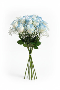 Blue Roses