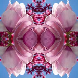 Magnolia Heart Light  2 - On Canvas