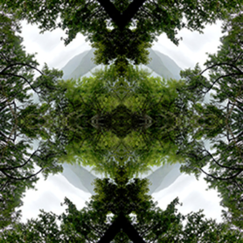 Native Lace - Canvas