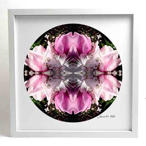 Velvet Heart 1 - Small Mandala Print