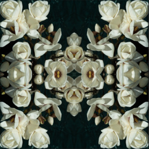 Magnolia Crown 1 - Canvas