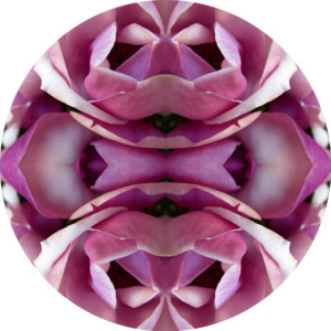 Magnolia Heart 2 - Round