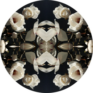 Magnolia Light 1 - Round