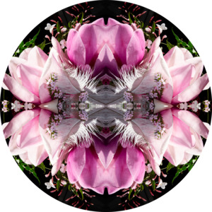 Velvet Heart 1 - Round