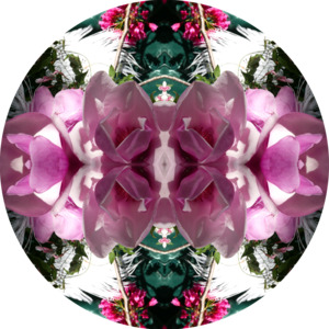 Velvet Heart 3 -Round