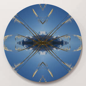 Large Round Prints: Aoraki Toi Toi 2 - Round