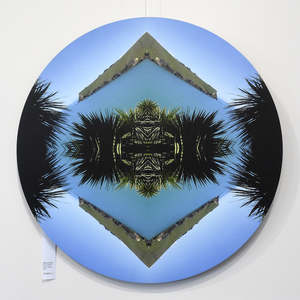 Taylors Ti Kouka - Round