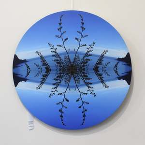Large Round Prints: Taylors Harakeke - Round
