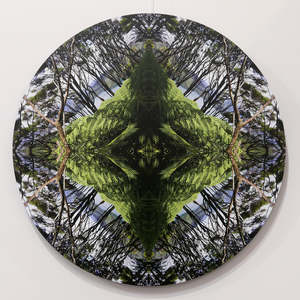 Large Round Prints: Sounds Native 2 - Round