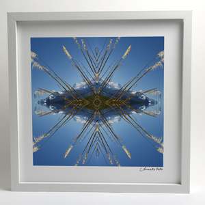 Small Square Prints: Aoraki Toi Toi 3 - Small Mandala Print