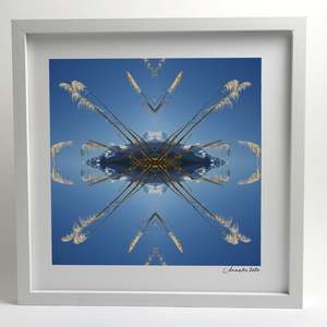 Small Square Prints: Aoraki Toi Toi 2 - Small Mandala Print