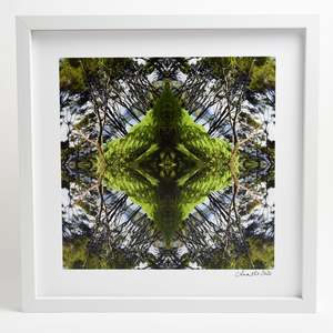 Sounds Native 2 - Small Mandala Print