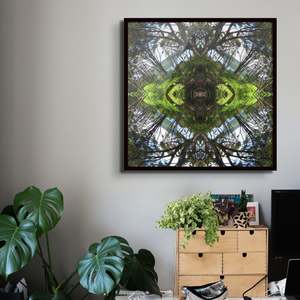 Sounds Native 1 - Lightbox