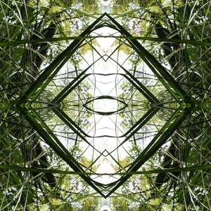 Gaia S Portals: Ruatahi Diamond 1 - Canvas