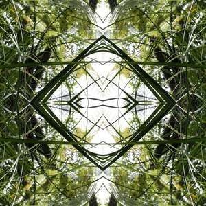 Ruatahi Diamond 4 - Canvas