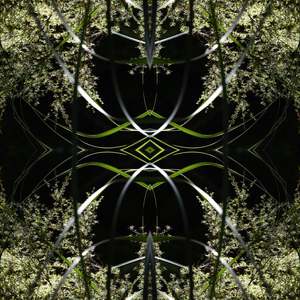 Gaia S Portals: Dark Ruatahi Portal 5 - On Canvas