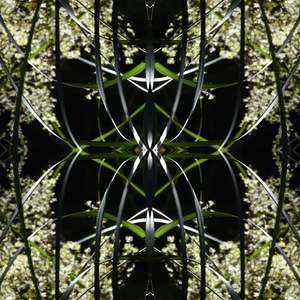 Dark Ruatahi Portal 4 - On Canvas