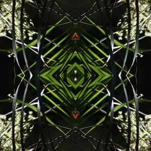 Gaia S Portals: Dark Ruatahi Portal 2 - On Canvas