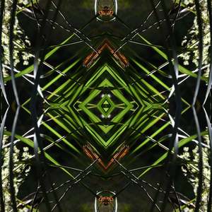 Dark Ruatahi Portal 1 - On Canvas