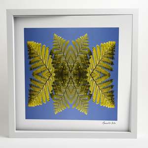 Gaia S Chloros: Punga - Small Mandala Print