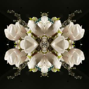 Magnolia Crown 3 - Canvas