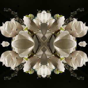 Chakra Bloom: Magnolia Crown 2 - Canvas