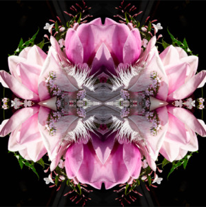 Chakra Bloom: Velvet Heart  1 - Canvas