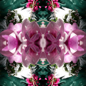 Chakra Bloom: Velvet Heart 3 - Canvas