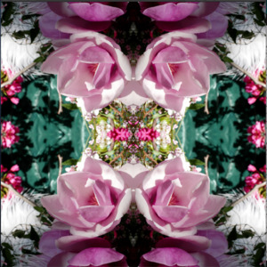 Chakra Bloom: Velvet Heart 2 - Canvas