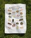 Common Household Biscuits & Slices of New Zealand – Tea Towel - Annual Annual NZ