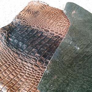 Frontpage: Bronze Crocodile Print Leather Piece