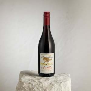 North Canterbury Pinot Noir 2017