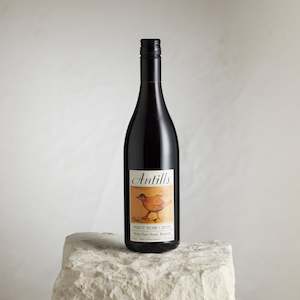 North Canterbury Pinot Noir 2010