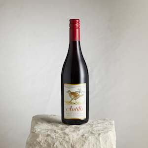 North Canterbury Pinot Noir 2011