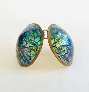 Paua Shell Money Purse