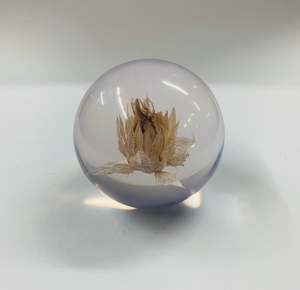 Fairy clock made in NZ Resin paperweight