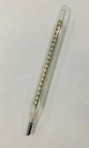 Antique Thermometer