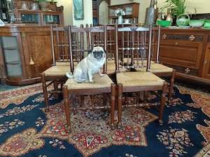 Suite of eight cottage dining chairs