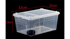Enclosure: Large (32 x 22 x 15 cm) Terrarium, Transparent, Insect Reptile Amphibious box