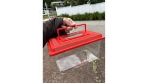 Enclosure: medium fish tank, frog, isopods Insect Terrarium box, ant living area (27x17x15)
