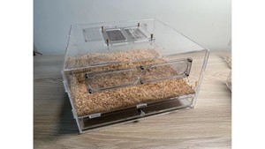 Reptiles: luxury mealworm farm ( Large ) farm only