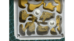 Nylanderia super good coloy 30+ colony + W3 farm + living area ( expandable farm)