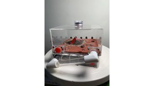 B1 Ant farm (VOLCANO) with light (new design special price)