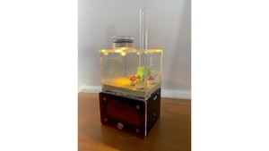 A1 ant farm with light